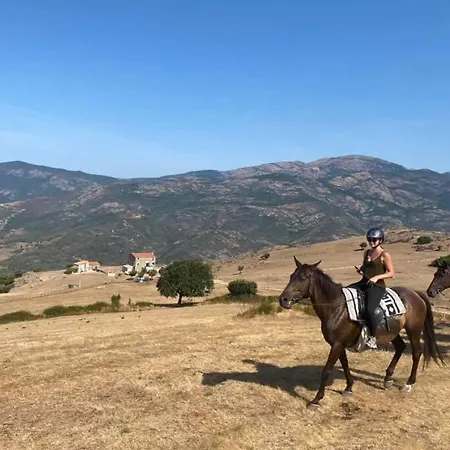 Сasa de vacaciones Gites Les Milans Coggia